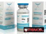 Testosterona – Testo – Propionato – Cipionato – Enantato – Undecanato – Sustaplex – Titan