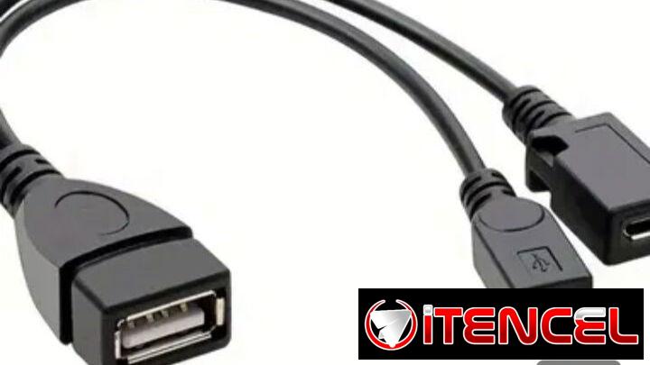 Cable OTG para Fire tv
