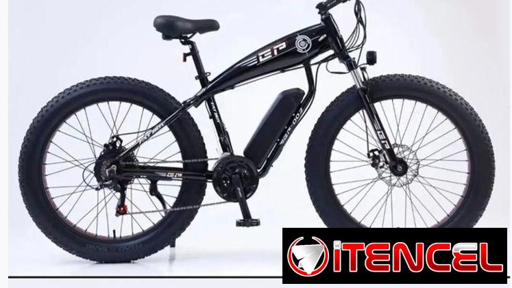 Bicicleta electrica (pedaleo asistido)