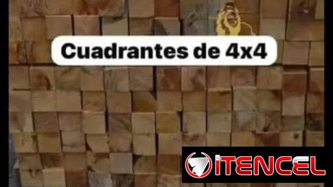 Palos 4×4