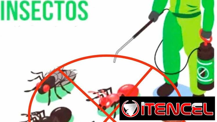 Fumigación a domicilio