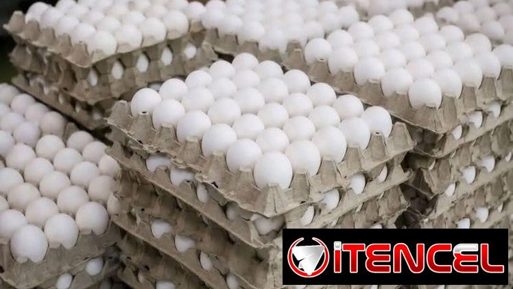 Huevos blancos grandes