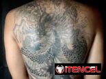 ‼️Tatuajes en Santa Clara ‼️