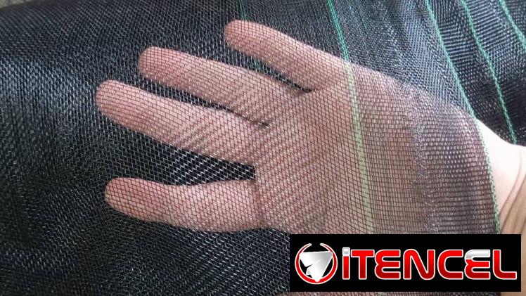 Malla antimosquito color begra
