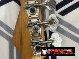 Bajo eléctrico Peavey
