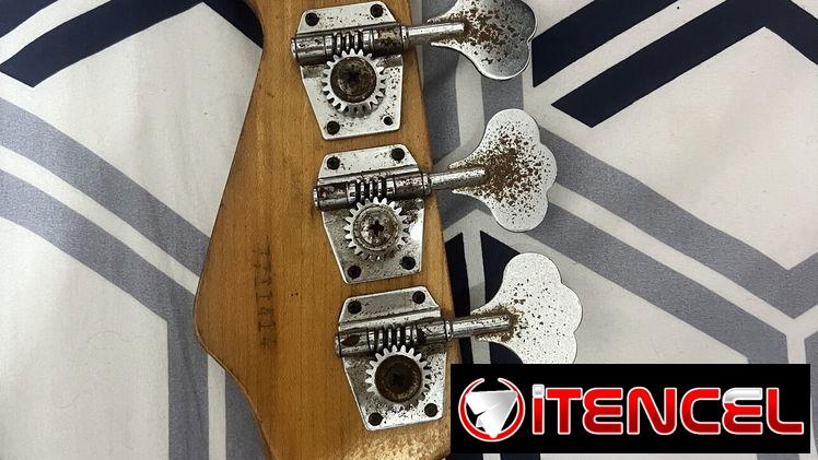 Bajo eléctrico Peavey