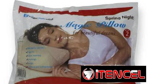 Set de 2 almohadas antialérgicas (th)