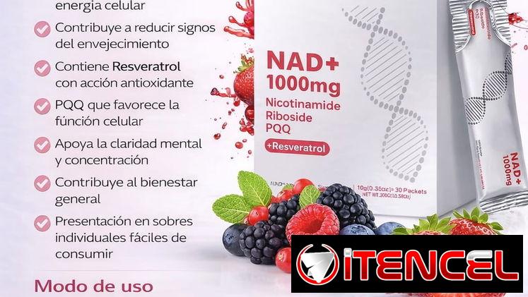 Suplementos para el gym
