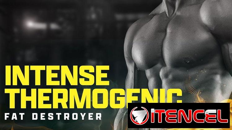 🔥 𝐐𝐔𝐄𝐌𝐀𝐃𝐎𝐑 𝐃𝐄 𝐆𝐑𝐀𝐒𝐀 LIPO 6 INTENSO ULTRA PRECIO 𝟐𝟓 𝐔𝐒𝐃/𝐂𝐔𝐏