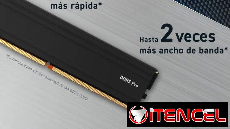 CRUCIAL PRO 32GB DDR5 (16GBx2) 5600MHz