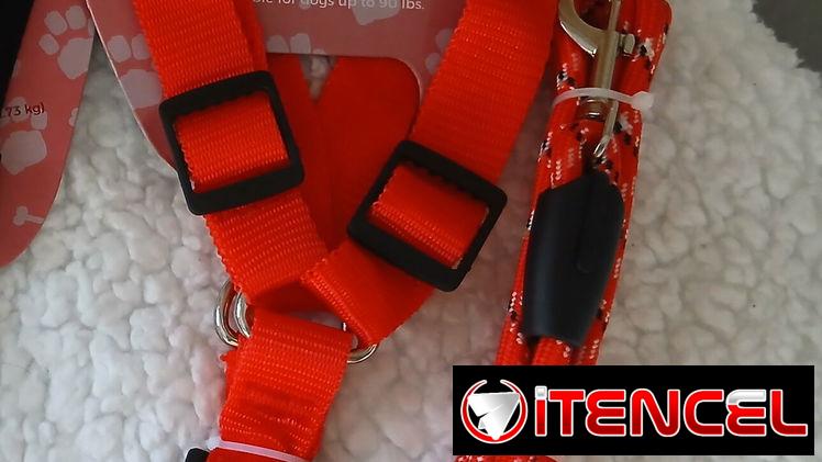 ✅️PECHERAS ARREOS PARA SU MASCOTA📲🐶🐾😺
