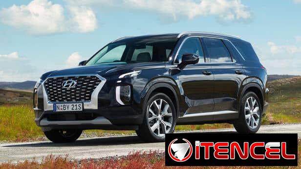 – Modelo: Hyundai Palisade 2021