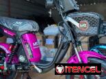 Bicimoto MZ