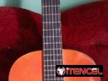 Guitarra en venta