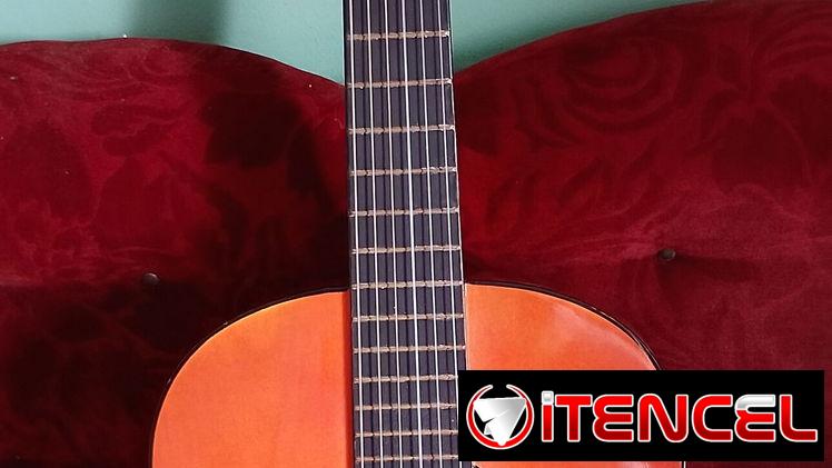 Guitarra en venta