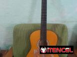 Guitarra y sus accesorios