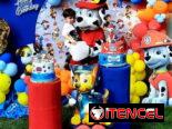 Cumpleaños temáticos