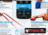 Creatina