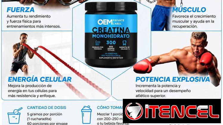 Creatina