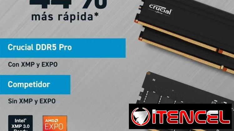 CRUCIAL PRO 32GB DDR5 (16GBx2) 5600MHz
