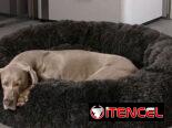Camas para perros