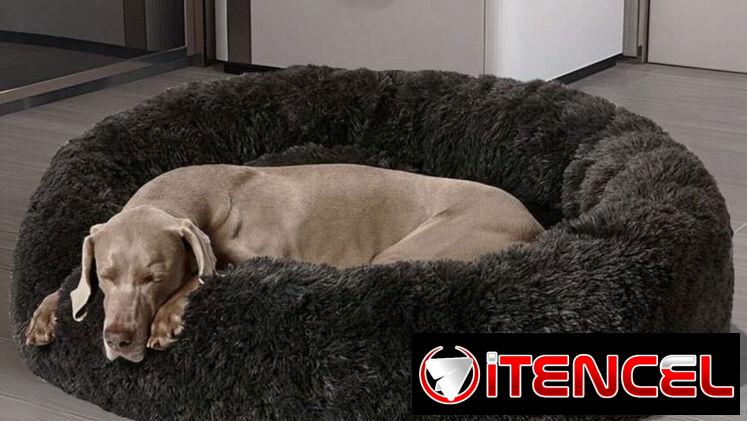 Camas para perros