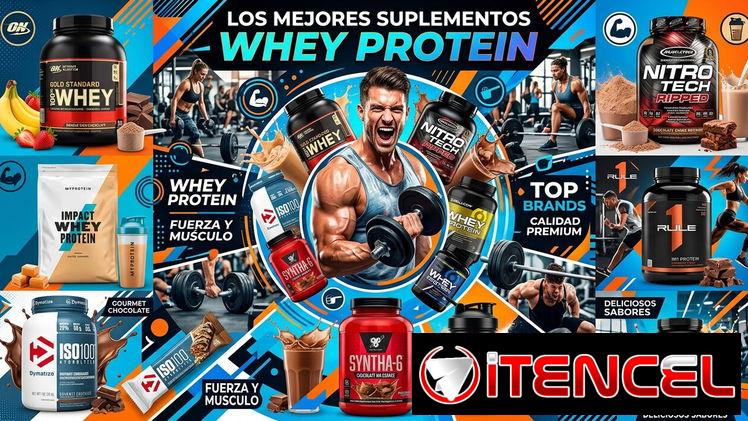 Suplementos,Whey Proteín,Proteína,Creatina,Testosterona,ON,MUSCLETECH,ISO,MONOHIDRATADA,SIXSTAR,BLACKBEAR,BNOVA,VITAMINA
