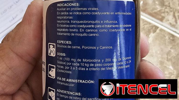 Tratamientos contra el moquillo