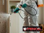 Fumigación contra Chinches de cama en La Habana