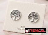 Aretes Pandora de plata Ale s’925