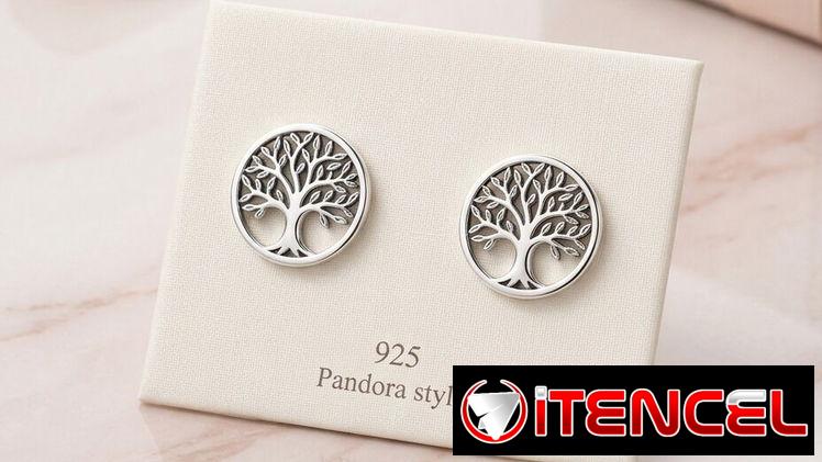 Aretes Pandora de plata Ale s’925