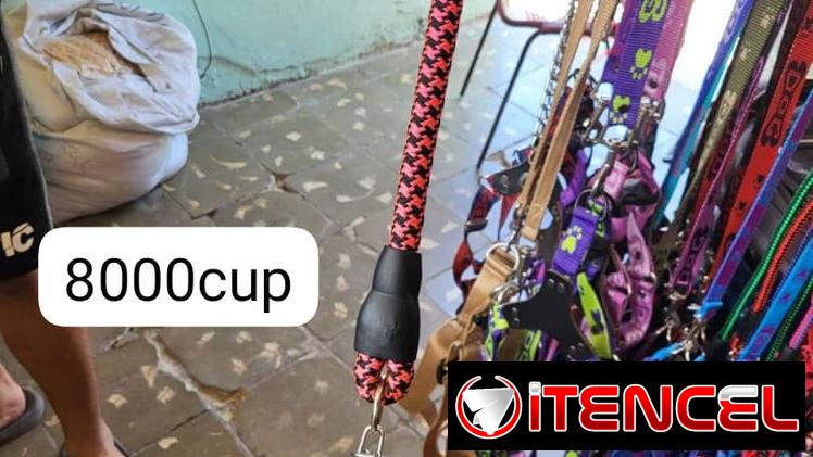 Correas para tus mascotas diferentes tallas y tipos