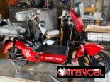 MOTICO SUPER LEÓN