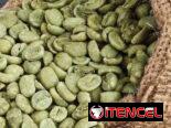 Café arábica AA (tamaño 16-18): por tonelada métrica CIF