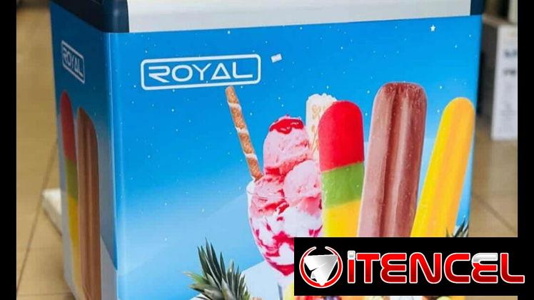 NEVERAS EXHIBIDORAS TIPO HELADERA 11 PIES