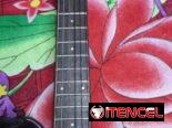 Guitarra electoacustica