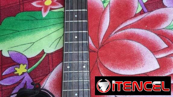 Guitarra electoacustica