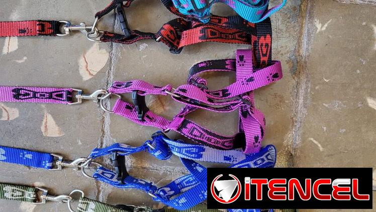 Correas para tus mascotas diferentes tallas y tipos