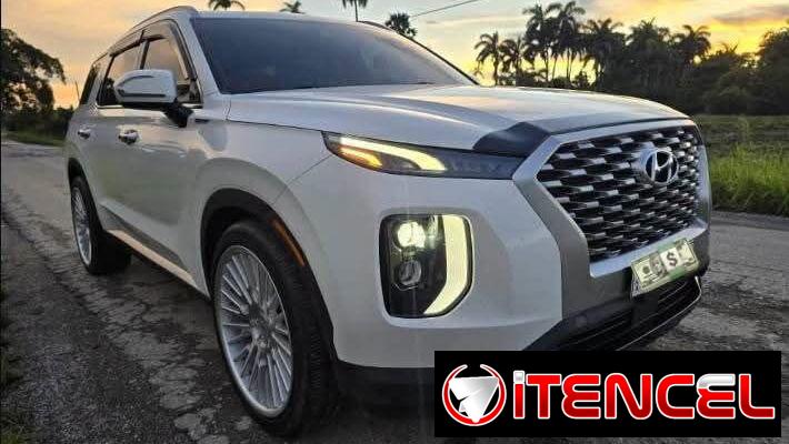 Hyundai palisade límite 2021