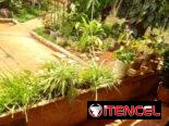 Casa con finquita y árboles frutales