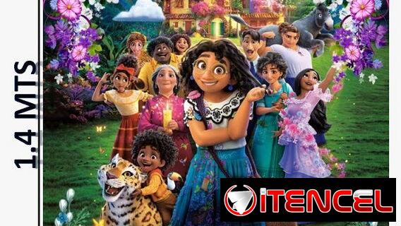 Afiche Temático y globos varios