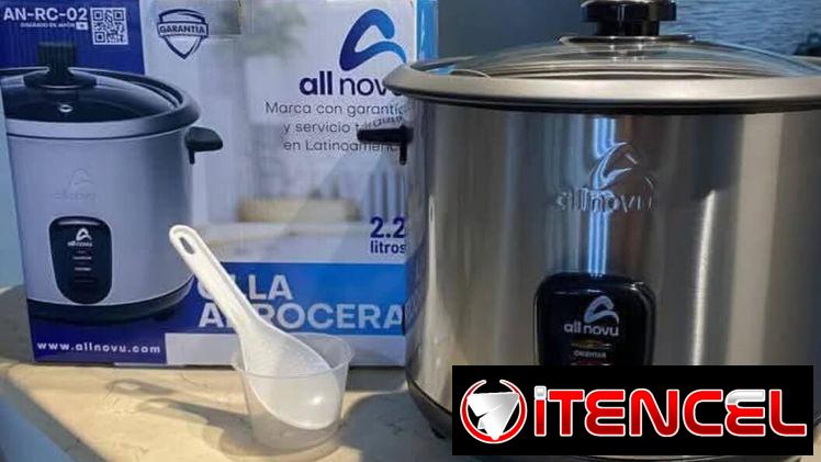 Arroceras