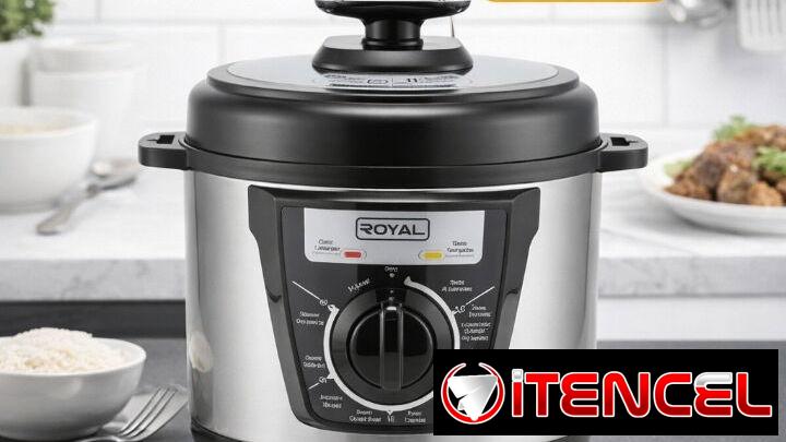4L. OLLA REINA ANALÓGICA 4L ROYAL. Factura + Garantía