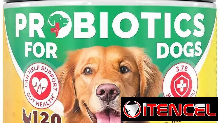 probioticos para perros