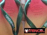Chancletas Havaiana