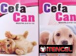 Antibióticos para perros y gatos