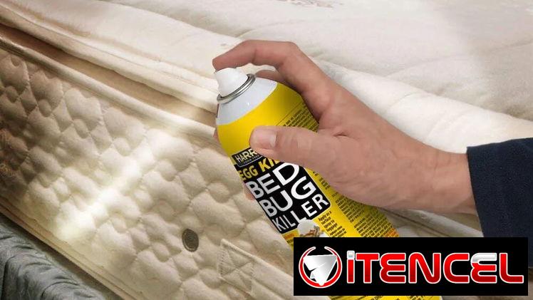 Veneno para chinches. Mata los huevos. Producto en aerosol.