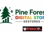 BUSCAMOS GESTORES DE VENTAS | PINE FOREST DIGITAL STORE 🌲| COMISIONES TOTALMENTE LIBRES | ¿A QUE ESPERAS PARA GANAR? 💸