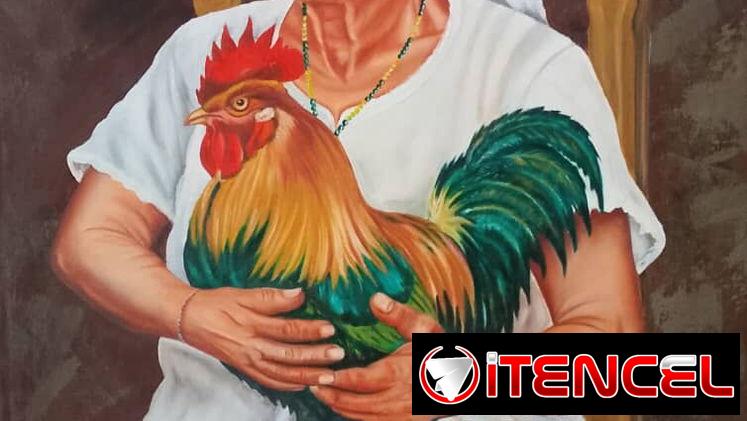 🔴 Gallos by Senen López 🐓
