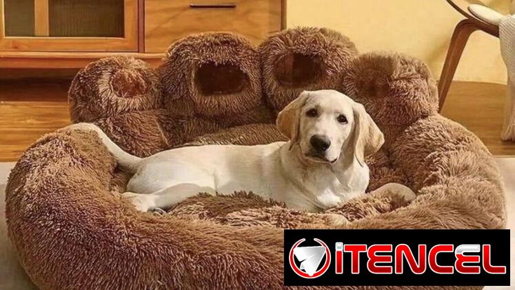 Camas para perros